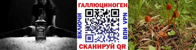 kraken tor  Беслан  Псилоцибиновые грибы GOLDEN TEACHER 