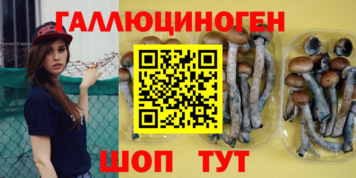 Псилоцибиновые грибы GOLDEN TEACHER Беслан