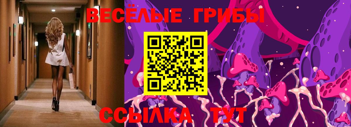 Псилоцибиновые грибы ЛСД  Вход с VPN  цена наркотик  Псилоцибиновые грибы прущие грибы  Беслан 